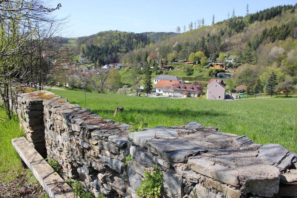 Ferienwohnung Zum Alten Forsthaus Messern Exterior photo